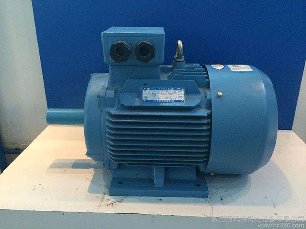 高效節(jié)能電機是西安泰富西瑪未來商業(yè)發(fā)展的方向。