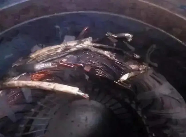 帶熱繼電器保護(hù)的電機(jī)頻繁燒毀的原因是什么？